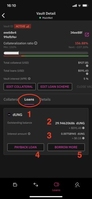 Vault details - Sub tab "Loans"